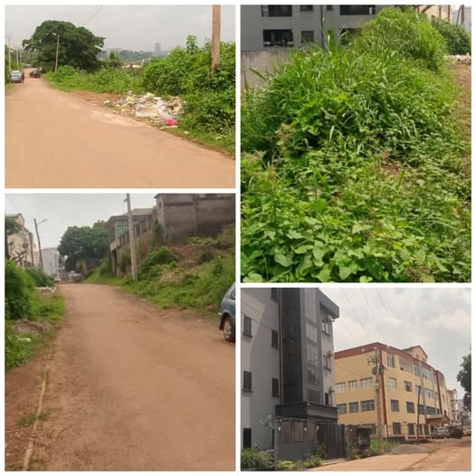 Terrain commercial à vendre - École de Police, Yaoundé
