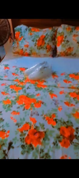 Chambre meublée à PK 15, Douala