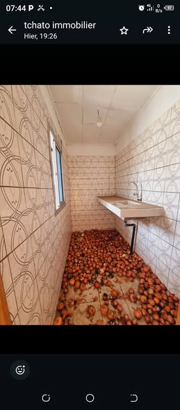 Chambre cuisine douche lumineuse et vaste à louer Logpom