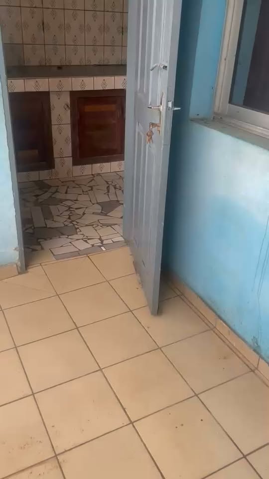 Appartement T3 à louer à Logpom