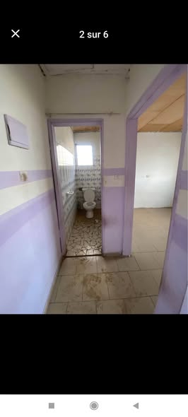 Studio à louer à Kotto, Douala