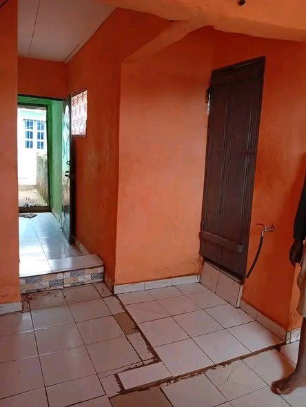 Chambre douche à louer - Akwa, Douala